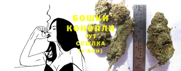 гидра Покровск